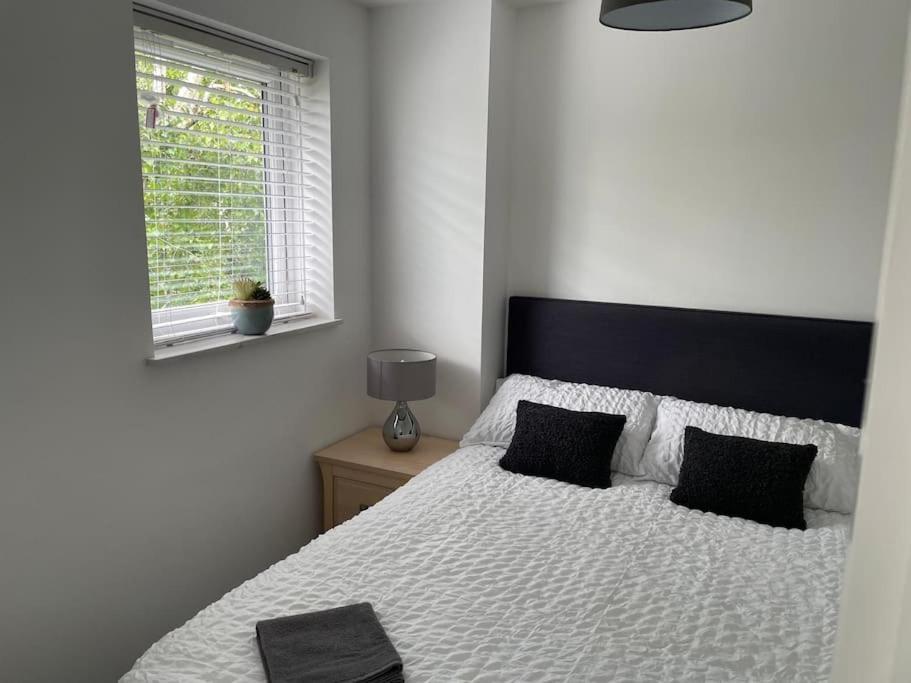 Lovely 1-bedroom In Appartement Londen